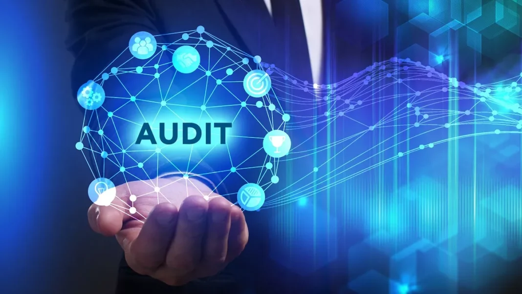 SME Audit Firm